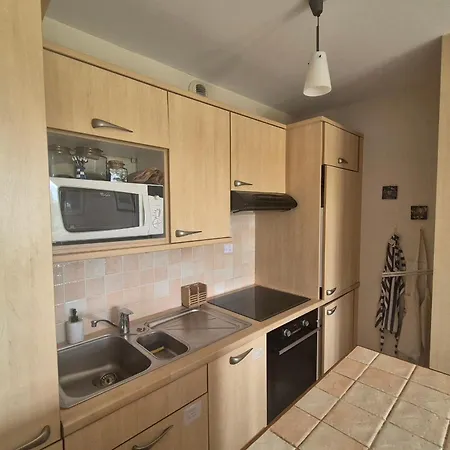 Nest With Beautiful Garden And Sea View Apartment *