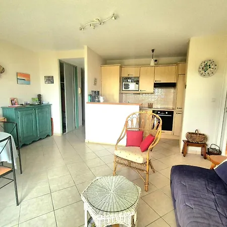 Nest With Beautiful Garden And Sea View * Dinard